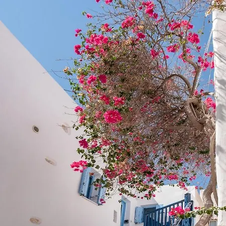 Franca Scala Summer House Parikia (Paros)